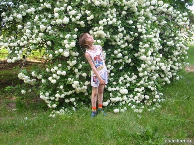 1493_buratinko_in_shorts_31.jpg